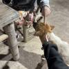 comment-small-img