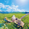 comment-small-img