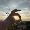 comment-small-img