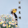 comment-small-img