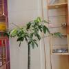 comment-small-img