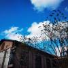 comment-small-img