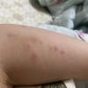 comment-small-img