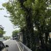 comment-small-img