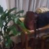 comment-small-img