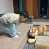comment-small-img