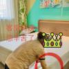 comment-small-img