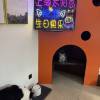 comment-small-img