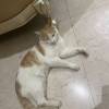 comment-small-img