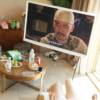 comment-small-img