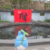 comment-small-img