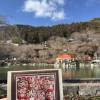 comment-small-img