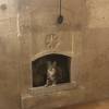 comment-small-img