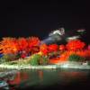 comment-small-img