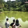 comment-small-img