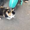 comment-small-img