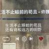 comment-small-img