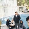 comment-small-img