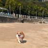 comment-small-img