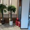 comment-small-img