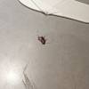 comment-small-img