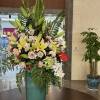 comment-small-img