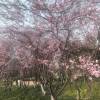 comment-small-img
