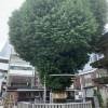 comment-small-img