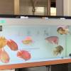 comment-small-img