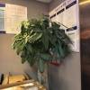 comment-small-img
