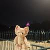 comment-small-img