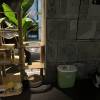 comment-small-img