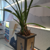 comment-small-img