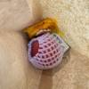 comment-small-img