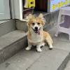 comment-small-img