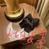 comment-small-img
