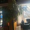 comment-small-img