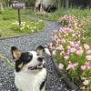 comment-small-img