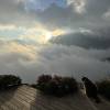 comment-small-img