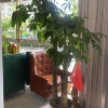 comment-small-img