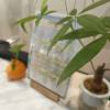 comment-small-img