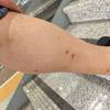 comment-small-img