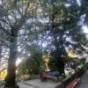 comment-small-img
