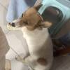 comment-small-img