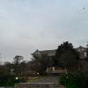 comment-small-img