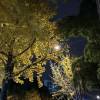 comment-small-img