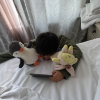 comment-small-img