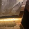 comment-small-img