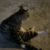 comment-small-img