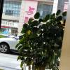 comment-small-img